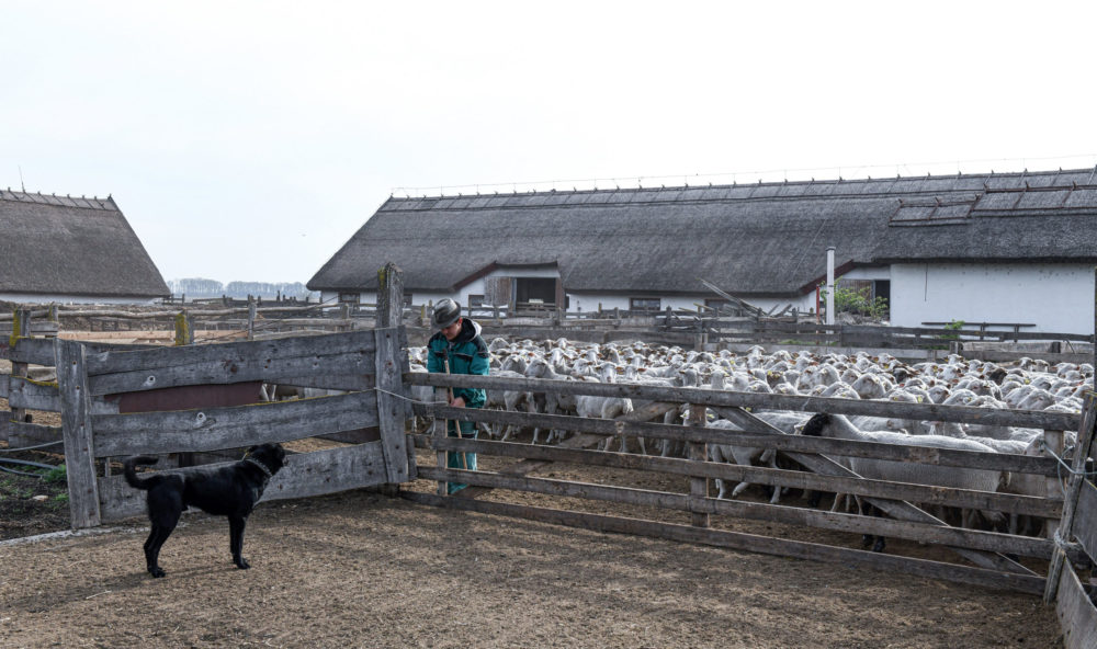 Infrastrukturális fejlesztésekre pályázhatnak a tanyán élők