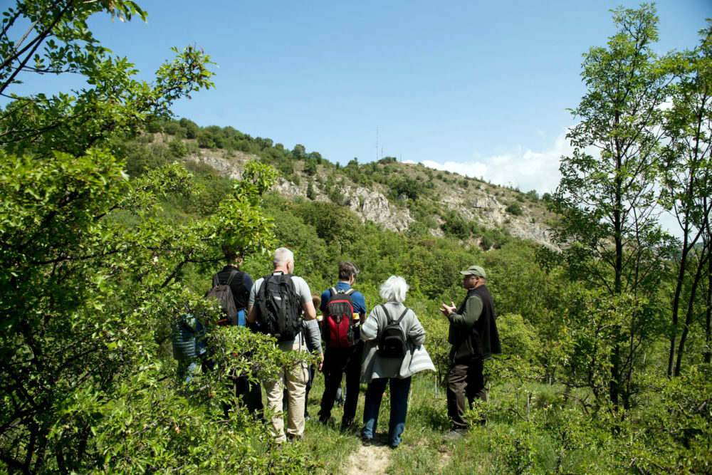 Agrárminisztérium: példátlan élőhelyfejlesztés az Ipoly-völgyben