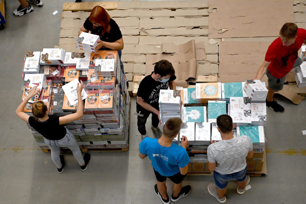 A fiatalok és munkaadóik többsége is elégedett a Nyári diákmunka programmal