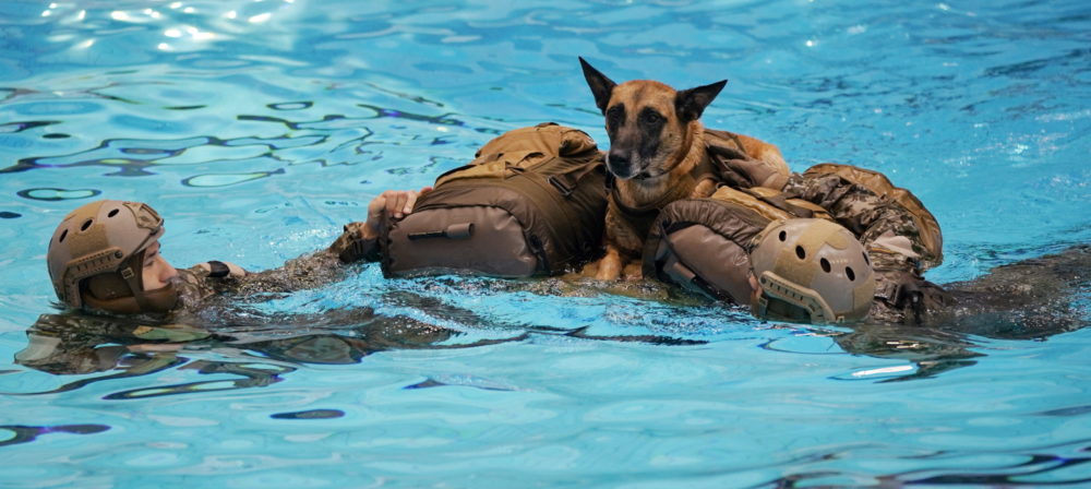 Elitalakulat gyakorlatozása Németországban