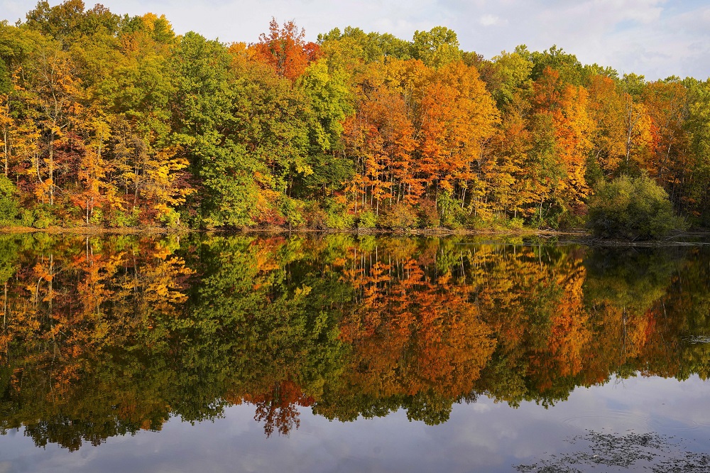 Ősz az Egyesült Államokban