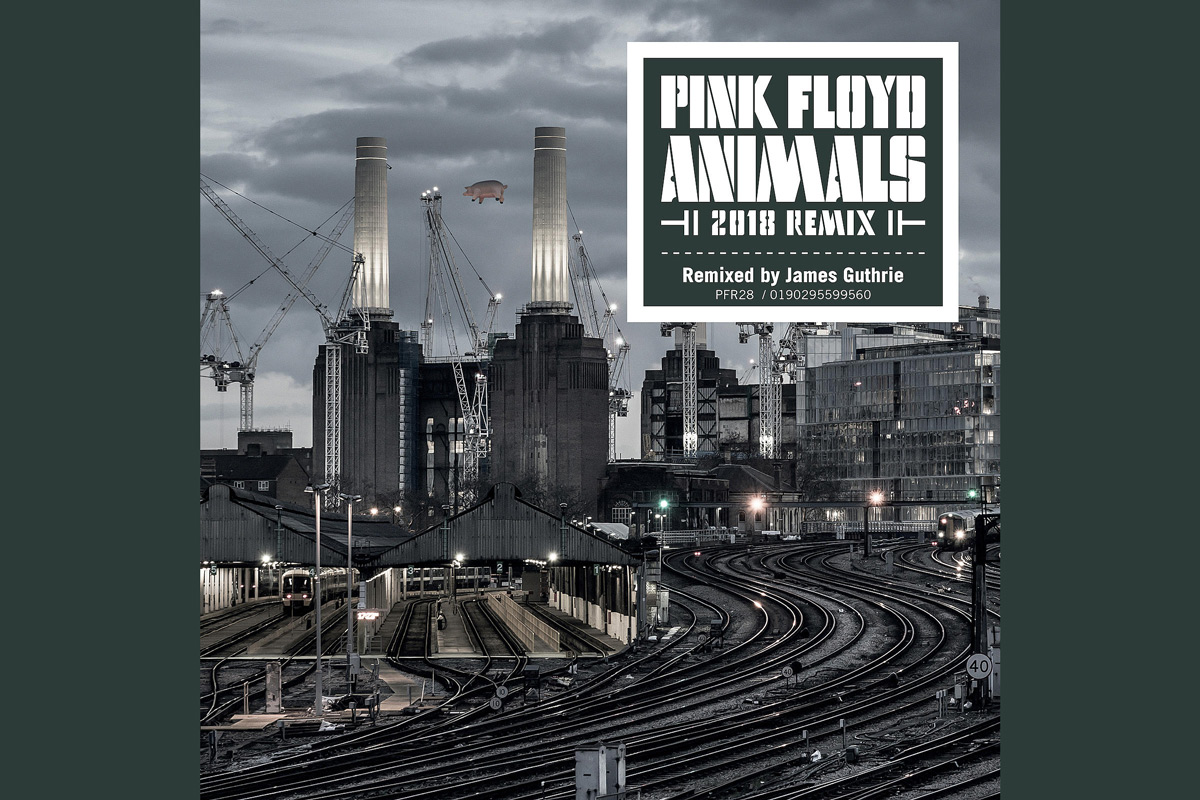 Társadalombírálat