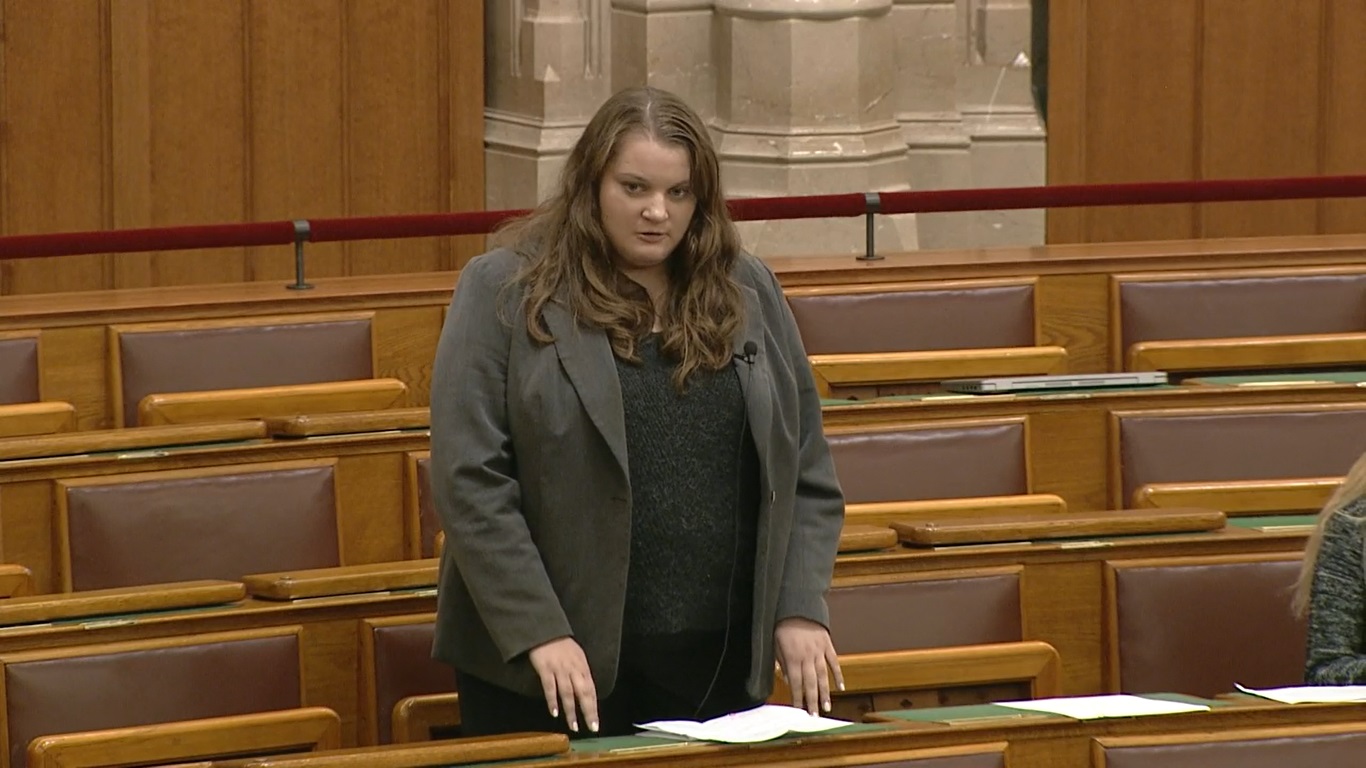 Sebők Éva ismét akcióban: Hogyan fogják a többméteres rönköket feldolgozni?