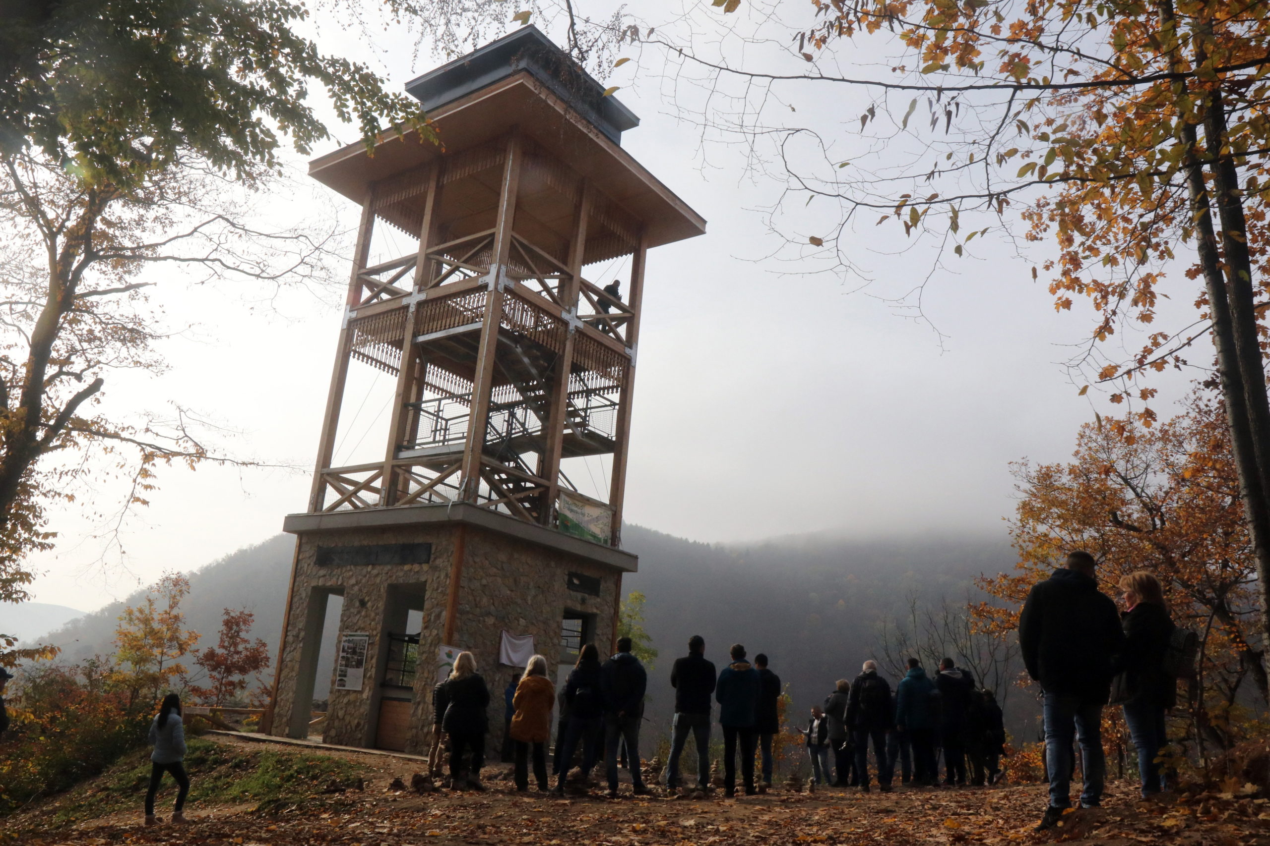 Révész Máriusz: a mozgás az életminőség javításának meghatározó eleme