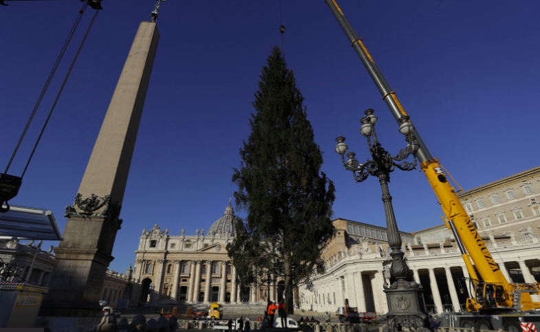 Megérkezett a fenyőfa és a karácsonyi díszítés a Szent Péter térre