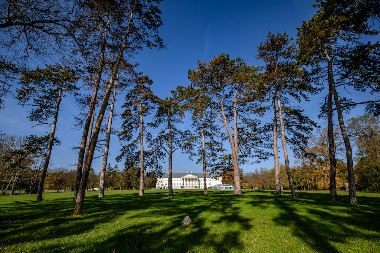 Nap, sas és csillagok