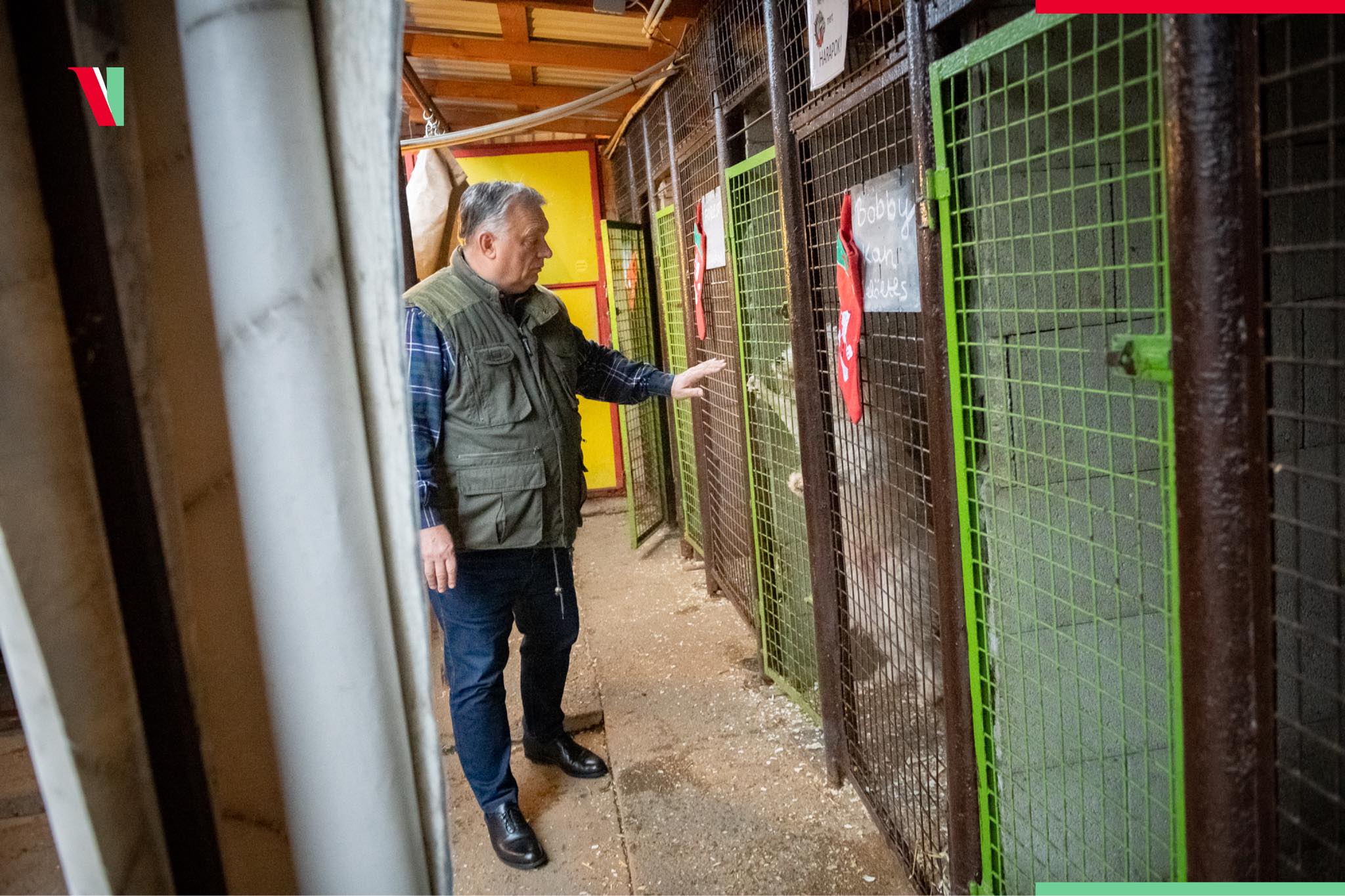 Állatmenhelyre vitt ajándékot a miniszterelnök