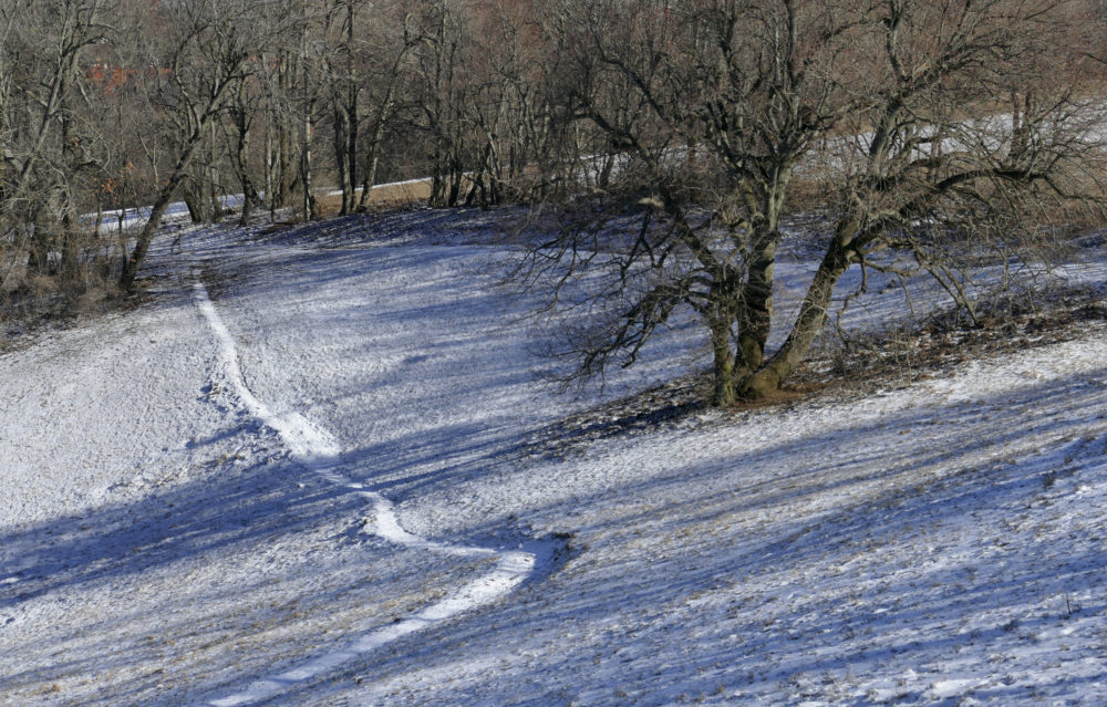Újra lehet szánkózni és síelni a Normafán