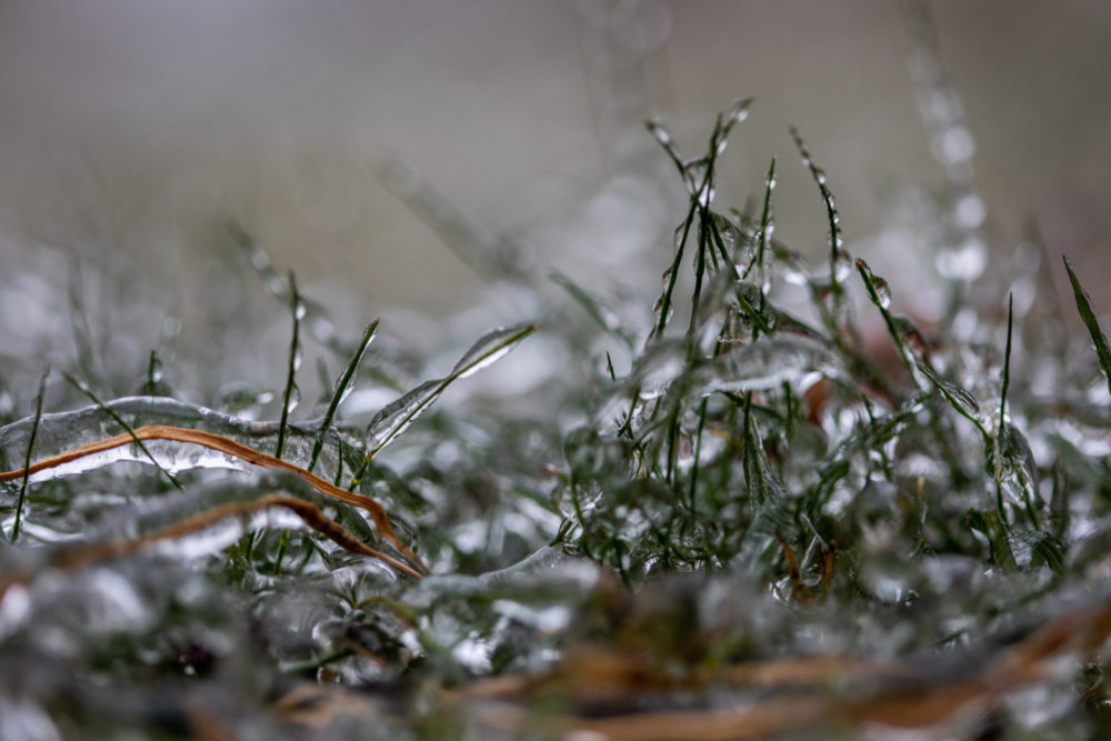 Jobbára felhős, időnként esős lesz az első téli hétvége