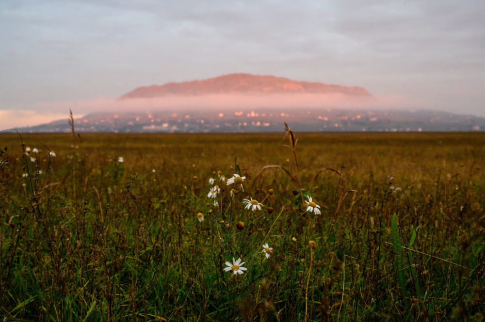 Köd a Somló-hegyen