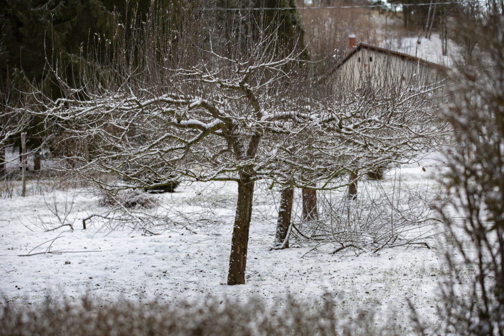 Viharos széllel érkező hidegbetörésre figyelmeztet a meteorológia