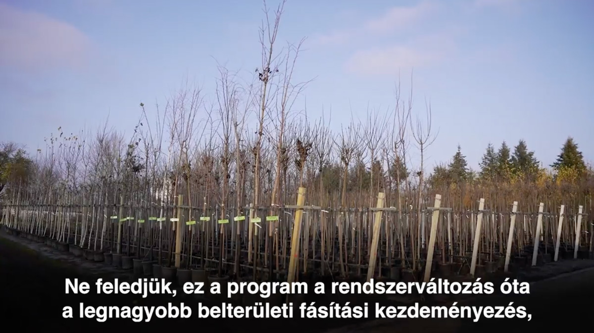 Januárban indul a Településfásítási program harmadik üteme