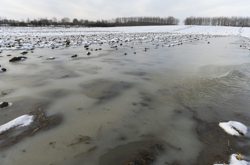 Országosan utoljára 1915-ben volt ennyire csapadékos a január