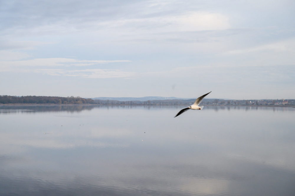 Elkezdődött a Velencei-tó vízpótlása a Pátkai-tározóból