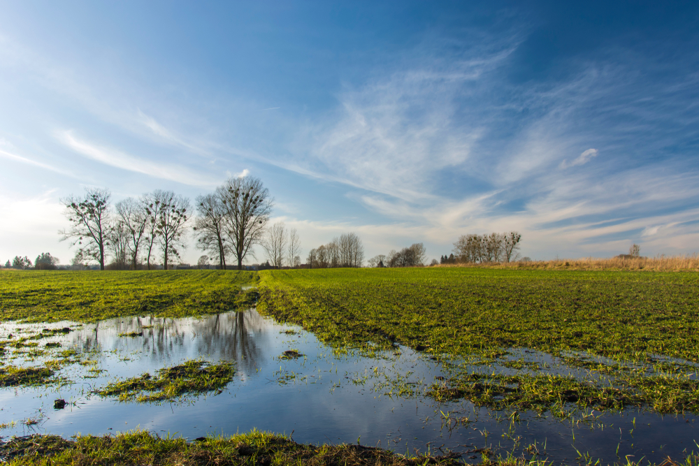 Csökkenni kezdenek a belvízfoltok