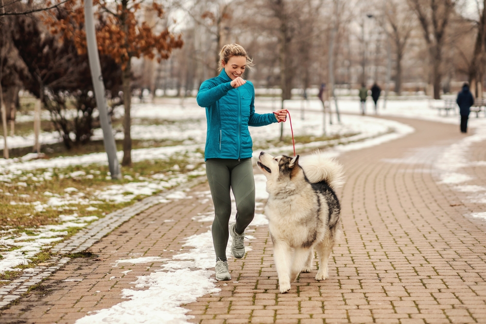 Hideg, borult idő várható