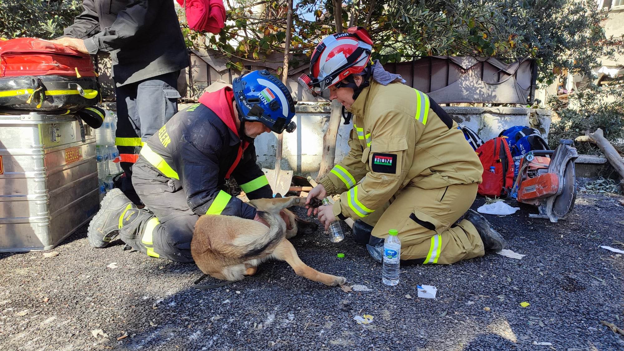 Megsérült egy négylábú magyar hős Törökországban