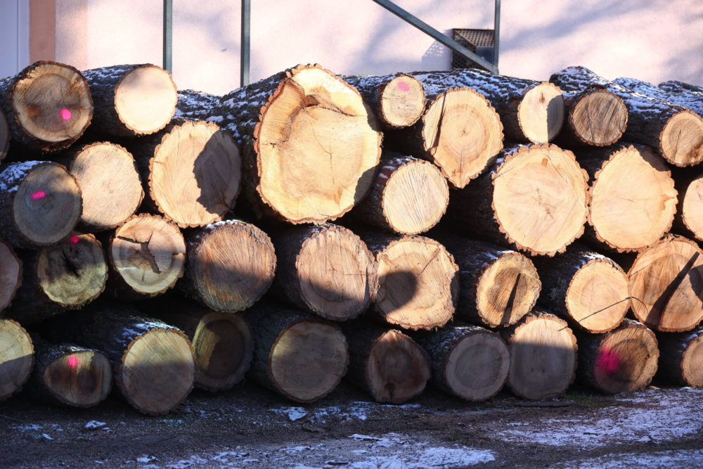 Minden igénylő önkormányzathoz eljutott a szociális tűzifa