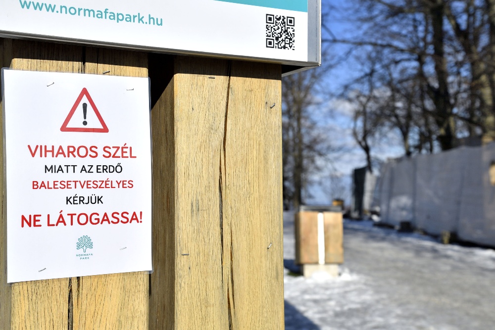 Több ezer segélyhívást kaptak a tűzoltók