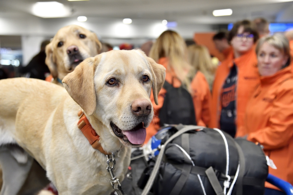 Hazaért a Baptista Szeretetszolgálat mentőcsapata