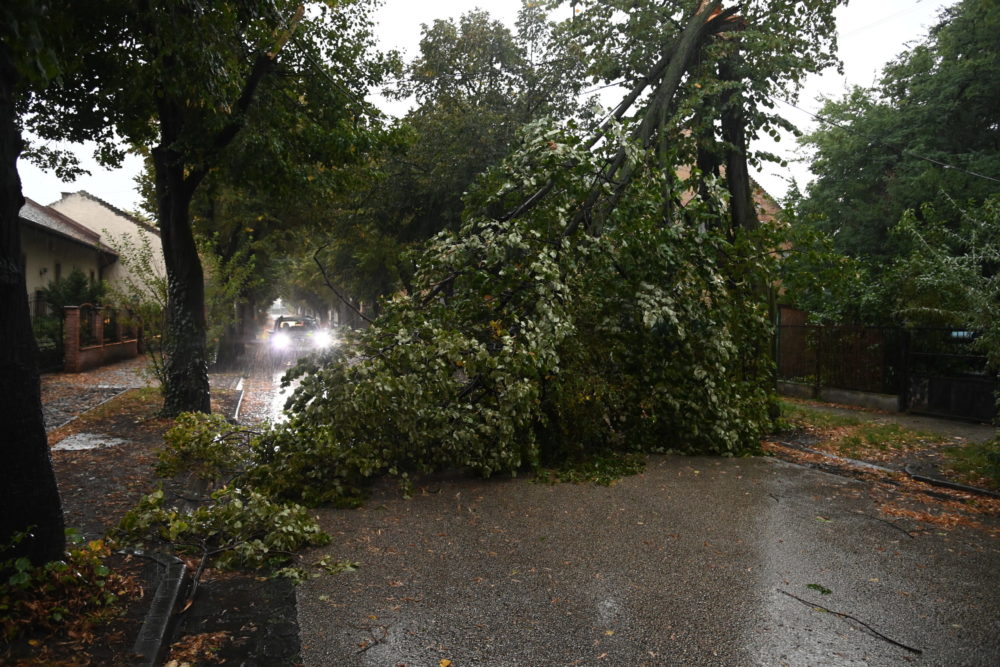 A Dunántúlon és a fővárosban ad sok munkát az erős szél a tűzoltóknak