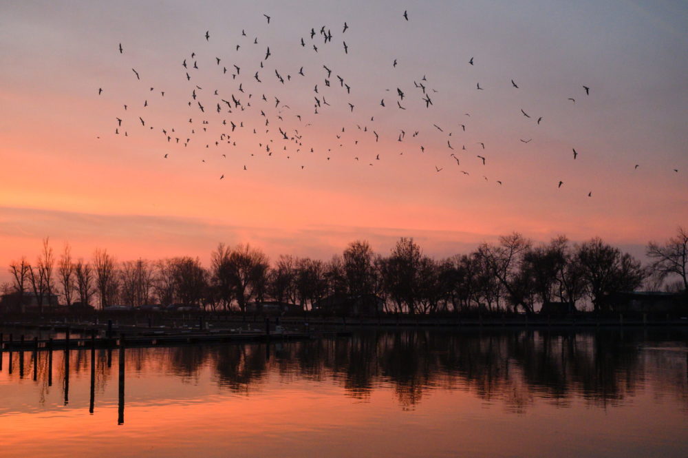 A Balatonnál 27 százalékkal nőtt a vendégéjszakák száma tavaly