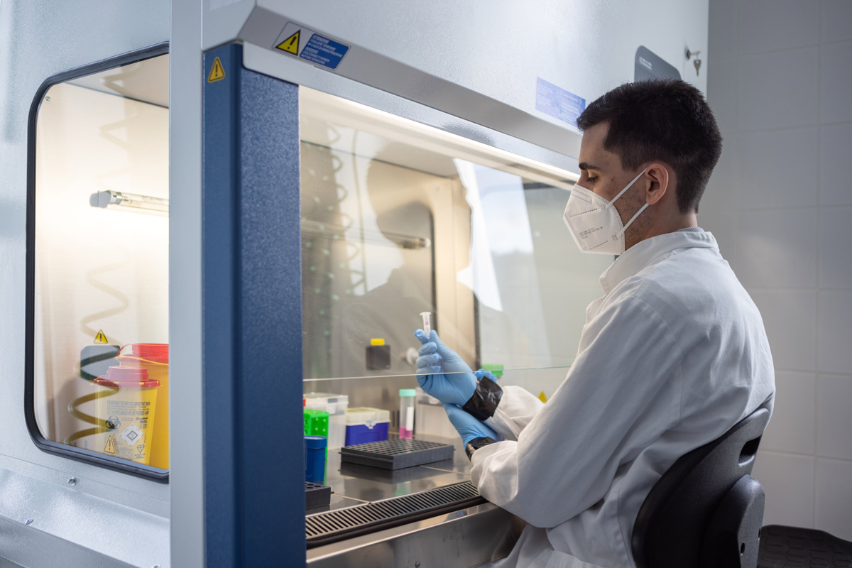 Pécsen új eljárással vált mérhetővé a vírusok által kiváltott immunválasz