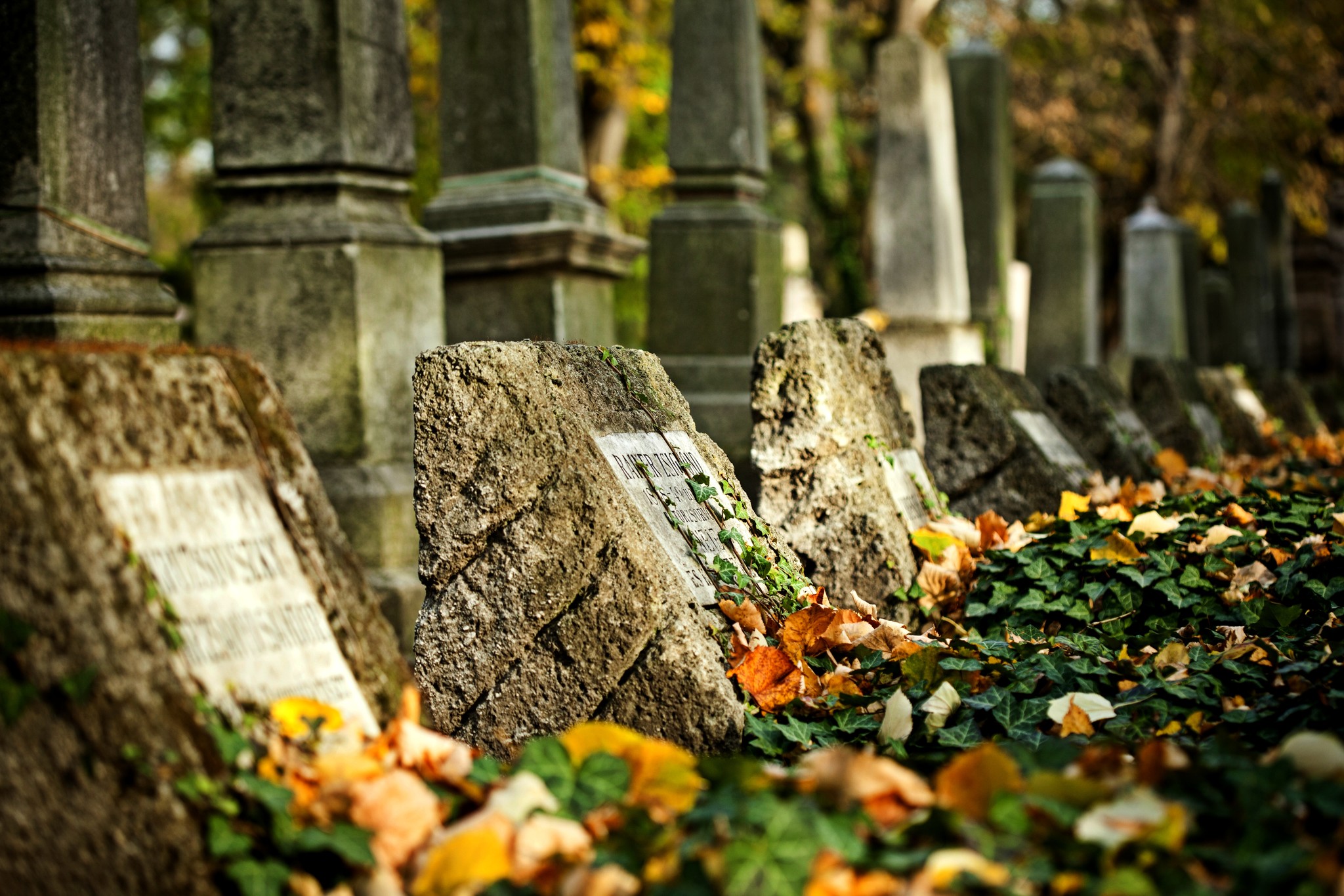 Március 15-én tematikus sétát tartanak a Fiumei úti sírkertben