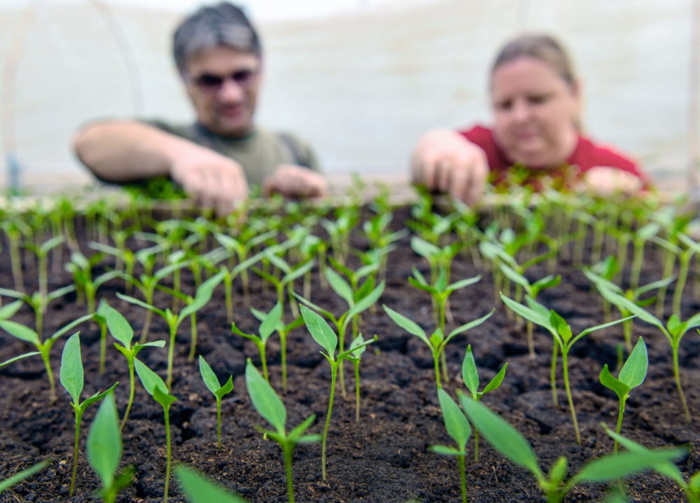 Agrárminisztérium: Az új technológiák használata nélkül nincs jövő