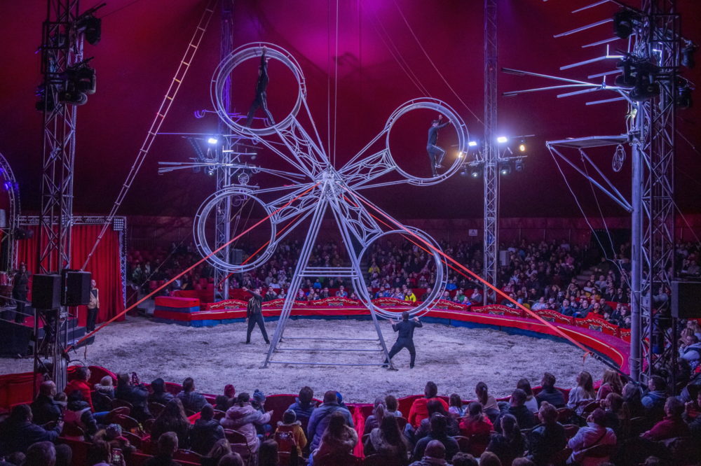 Jótékonysági műsorral nyitja meg idei turnéját a Magyar Nemzeti Cirkusz
