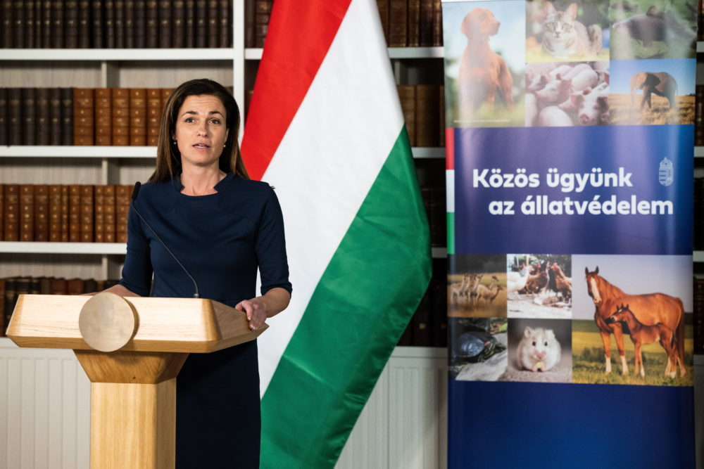 Állatvédő alapítványt hozott létre az igazságügyi tárca