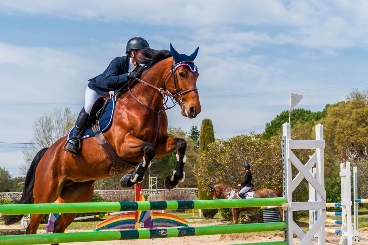 Először lesz magyar bírája a díjugrató versenyeknek