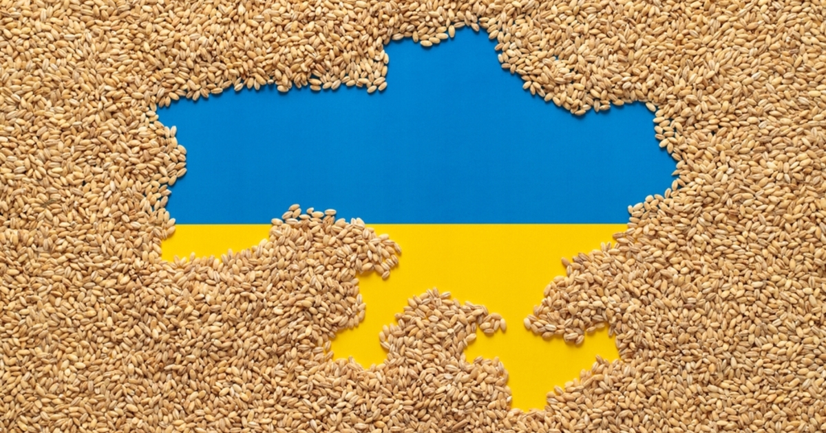Sokkoló jelentés Ukrajnáról