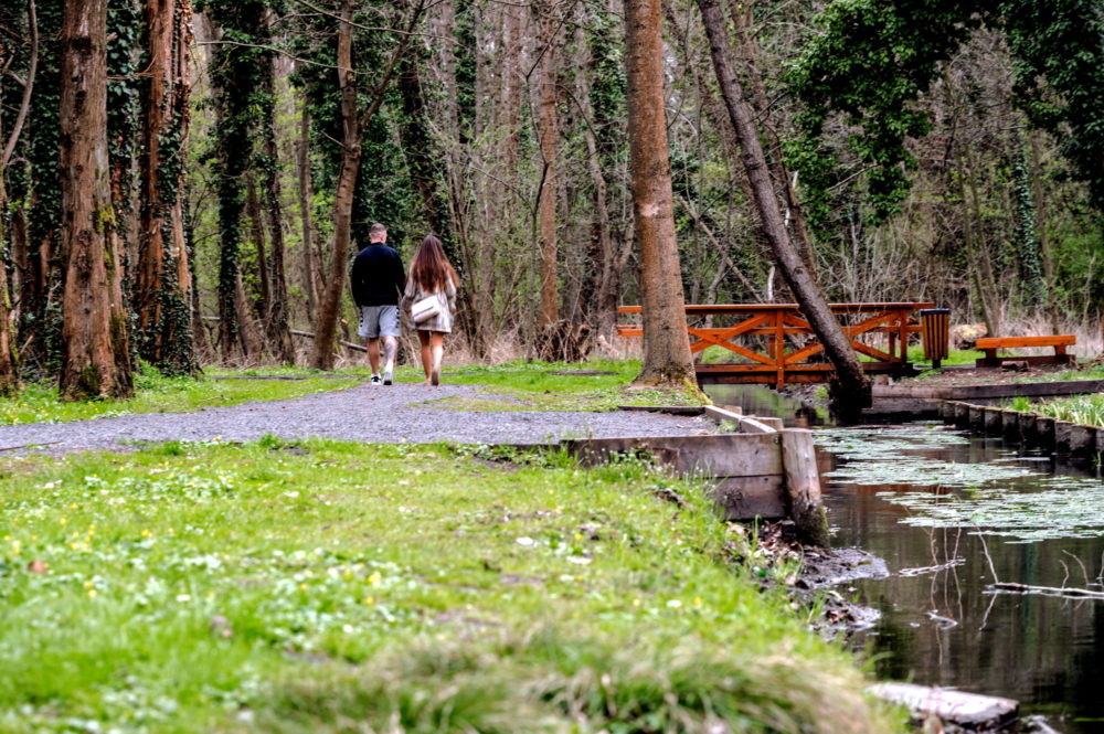 Az állami erdők a hazai aktív turizmus fontos helyszínei