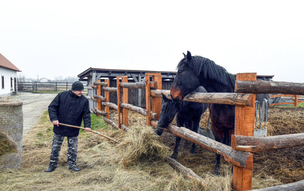 Meghosszabbították a tanyák fejlesztésére kiírt pályázatot