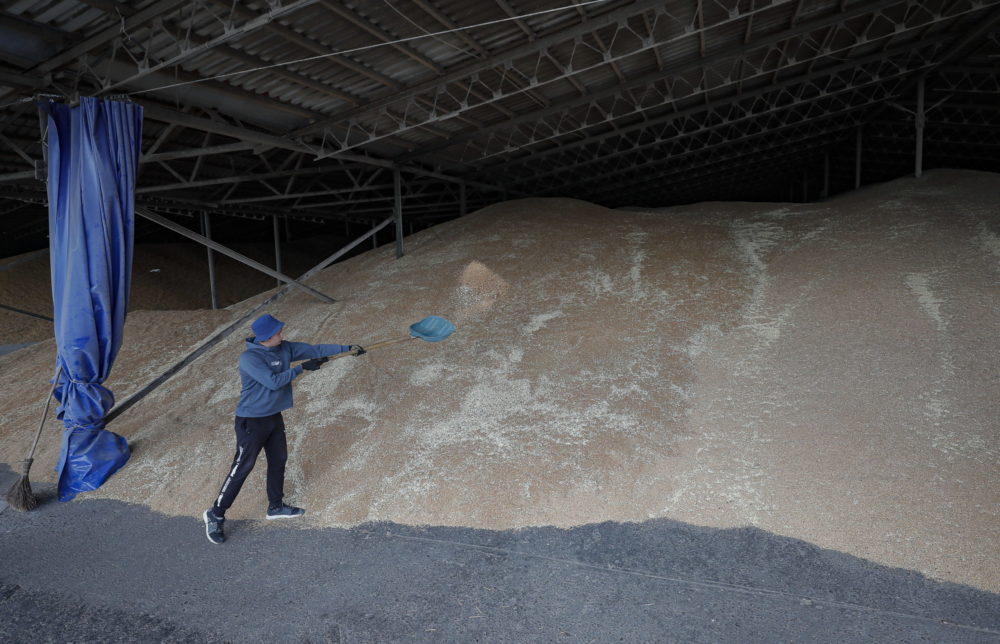 Az ukrán fél javaslatára leállítják a lengyelországi gabonaexportot