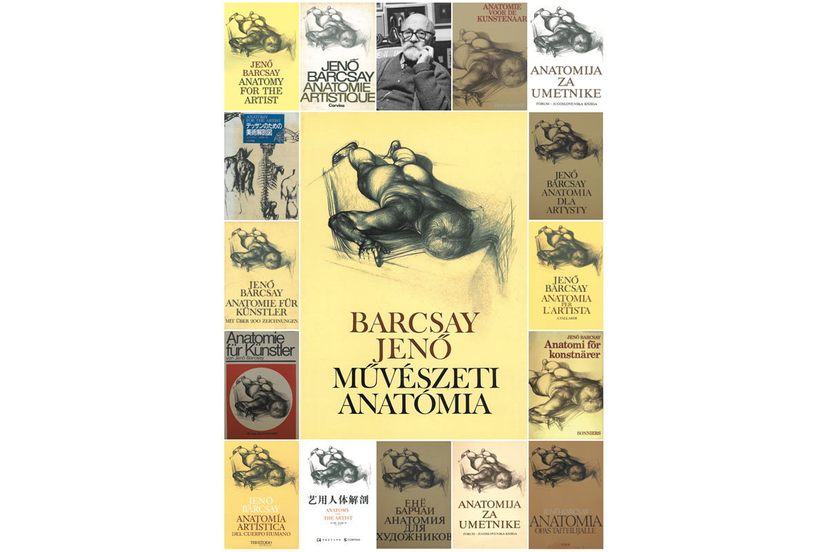 Barcsay-anatómia 70