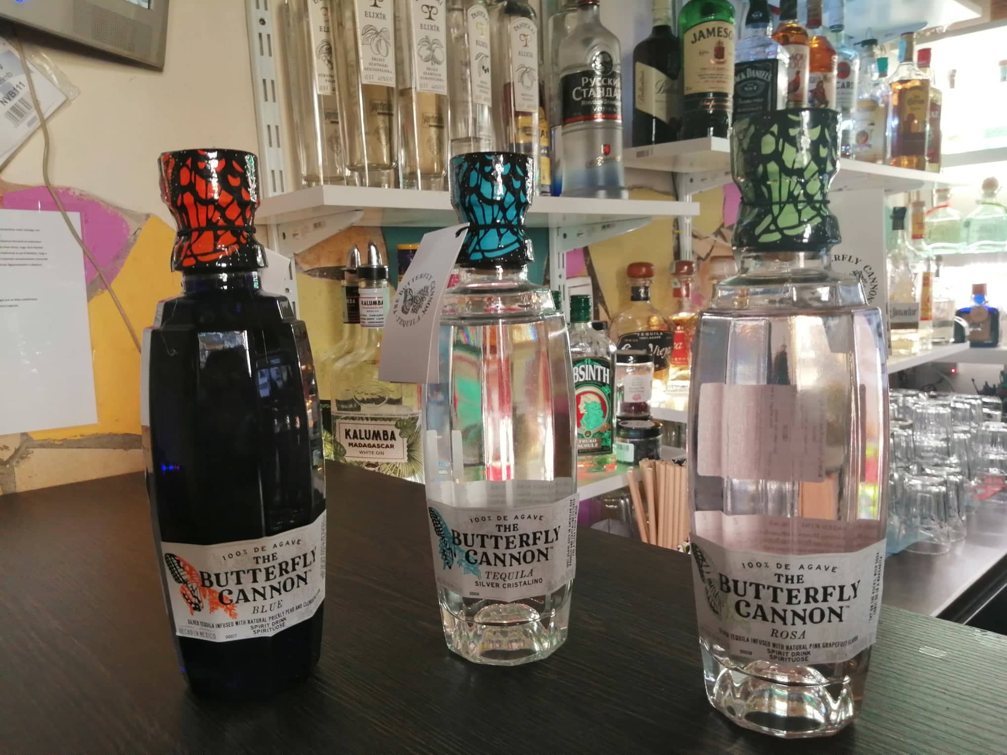 Tequila a Kaktuszban