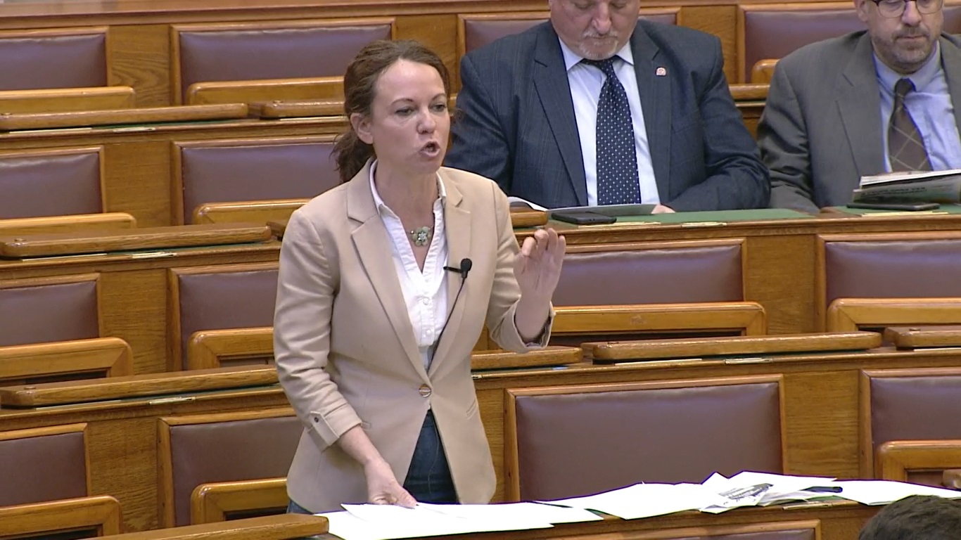 Szabó Tímea: Az emberek szájába telepítenek akkumulátorgyárakat!