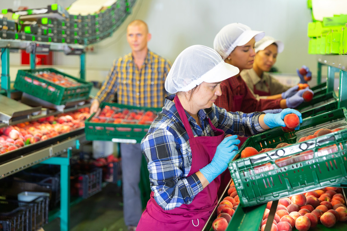 Jól jár Európa az ukrán menekültekkel