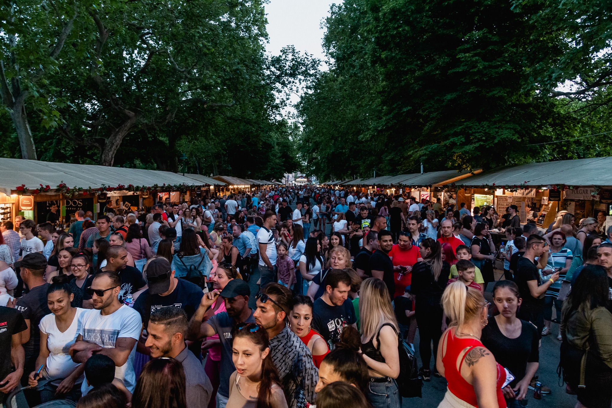 Rekordszámú kiállító a Szegedi Borfesztiválon