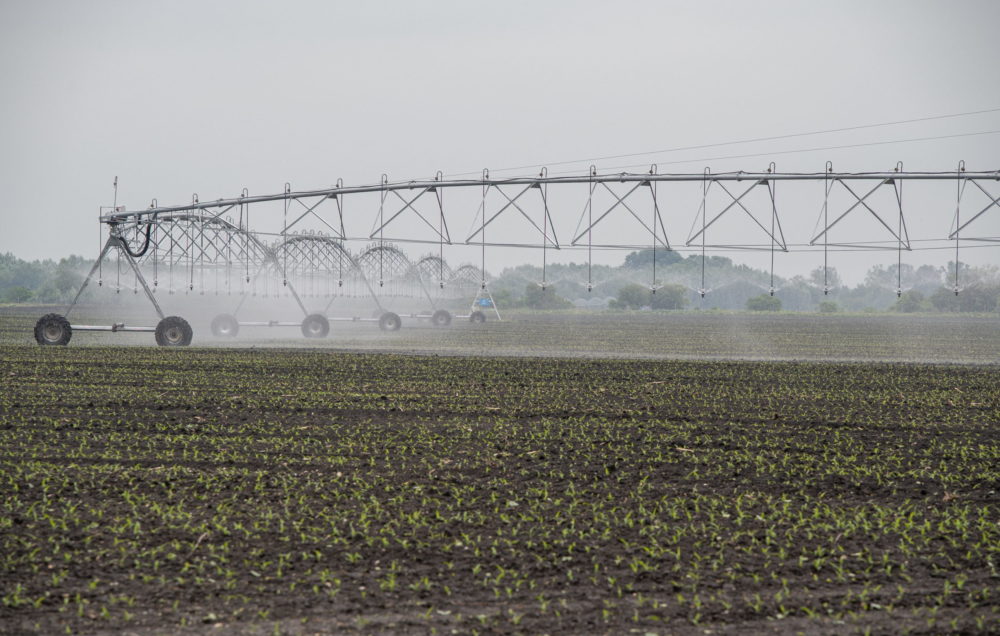 Nagy István: A termelés biztonságát csak öntözéssel lehet fenntartani