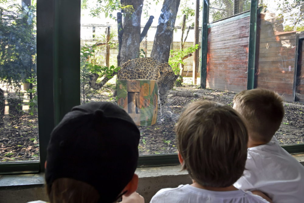 Különleges programokkal készül a fővárosi állatkert a hosszú hétvégére