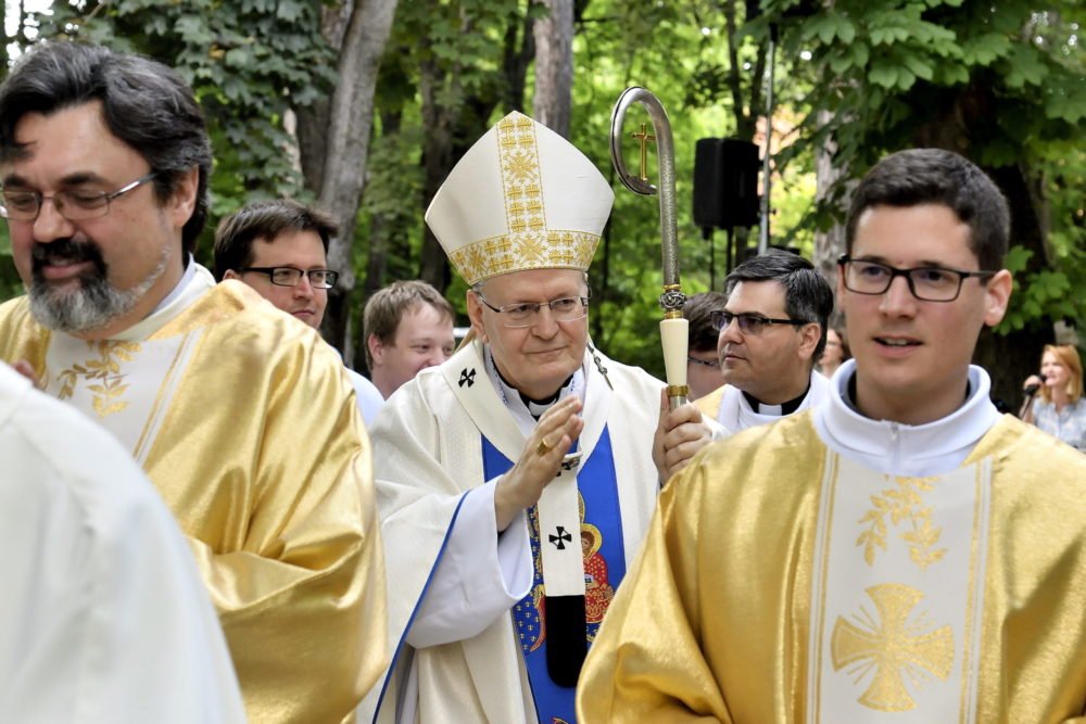 Erdő Péter: Ferenc pápa a mi gondjainkra, a mi helyzetünkre figyelt