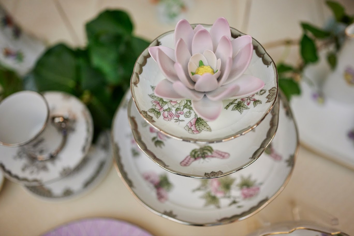 Viktória evolúciója