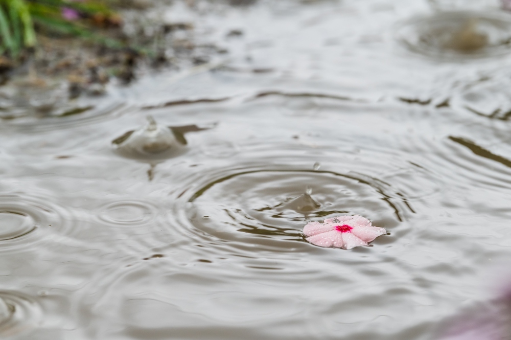 Péntek estétől nő a heves zivatarok esélye