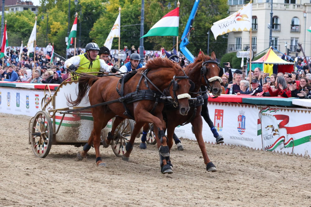 Idén Szilvásvárad ad otthont a Nemzeti Vágta döntőjének