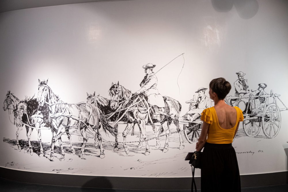 Új helytörténeti kiállítás nyílt a debreceni Déri Múzeumban