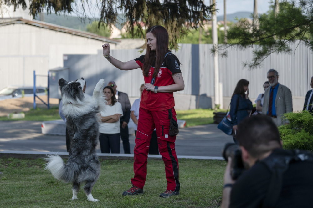 A Cserhát Különleges Mentőcsoport kutyás bemutatója