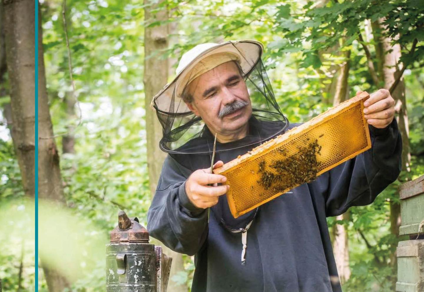Indul a méhészeti támogatási program